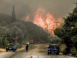 Mehrere Todesopfer bei Waldbränden in Südeuropa