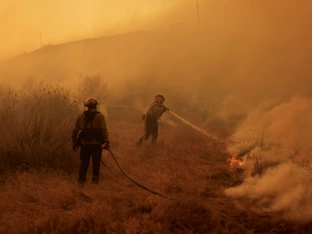 Brand bei Los Angeles: Feuerwehr macht Fortschritte