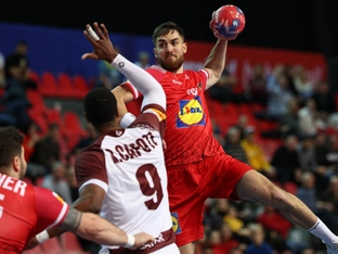 Handball-Wandervogel Zivkovic zieht es nach Frankreich