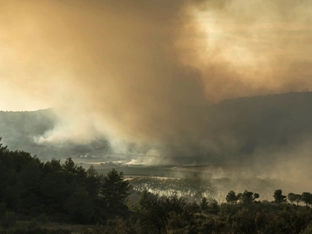 Waldbrand in Südfrankreich vernichtet tausende Hektar