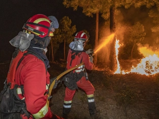 Hotelevakuierungen wegen eines Waldbrands in Südspanien
