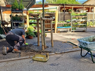 "Flexi-Pavé": Barrierefreie Gehwege und besserer Schutz für Bäume