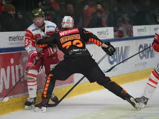 Foxes gehen in Graz unter