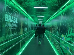 Forscher: COP30 hat Welt Pariser-Zielen kaum näher gebracht