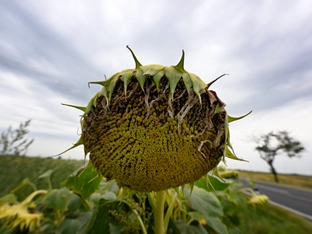 EU-Umweltminister wollen sich auf EU-Klimaziel 2040 einigen