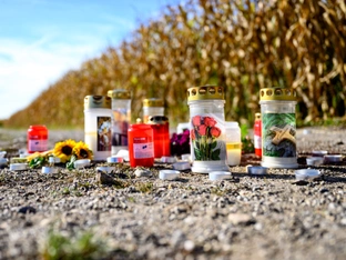 Tödliche Hundeattacke: Tiere müssen eingeschläfert werden