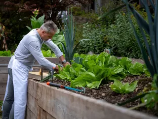 Erfolgreich regional