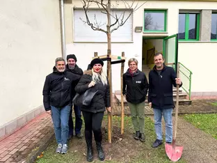 60 neue Bäume für Bozen