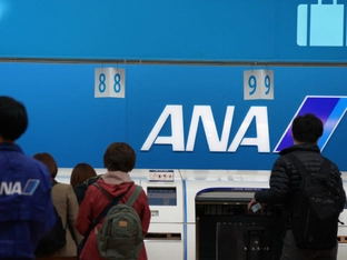 Flugabsagen nach Software-Problem bei Airbus