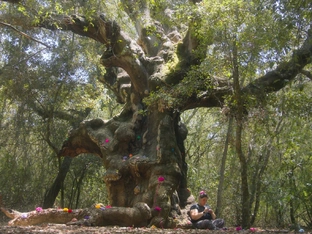 Vielfach prämierter Dokumentarfilm erneut in Bozen zu sehen
