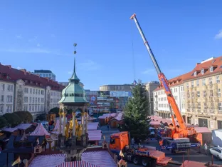 Keine Genehmigung für Magdeburger Weihnachtsmarkt