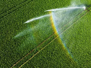 PFAS-Pestizide - Niederlande prüft Verbot von 46 Produkten