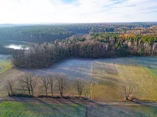 EU-Parlament fixiert Verschiebung der Entwaldungsverordnung