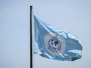 Interpol-Fahndungsaktion führte zu 85 Festnahmen