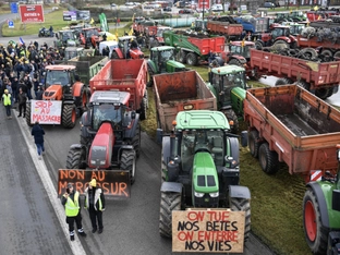 EU will Mercosur-Vertrag am 12. Jänner unterschreiben