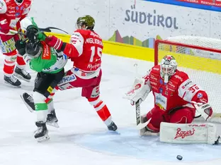 Foxes holen Heimsieg gegen Ljubljana