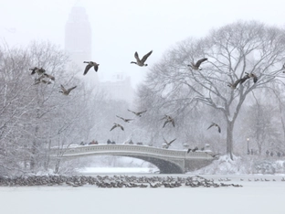 Wintersturm legt Flugverkehr im Nordosten der USA lahm