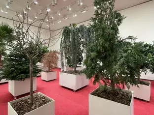 Guggenheim Bilbao stellt die Kunst in den Dienst der Erde