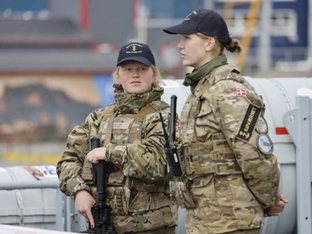 Experte Feichtinger schließt Krieg um Grönland aus