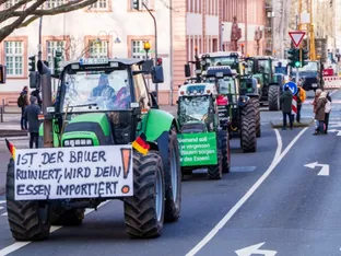 EU-Landwirtschaftsminister diskutieren über Mercosur