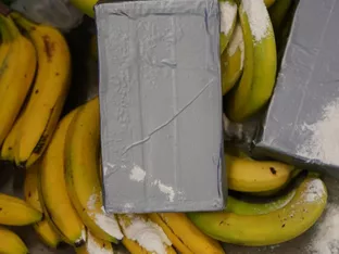 Kokainschmuggler nach Europa mit verfeinerten Methoden