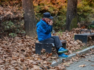 Isolation schadet eurem Gehirn