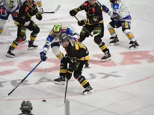 Ungefährdeter Wölfe-Heimsieg gegen Villach