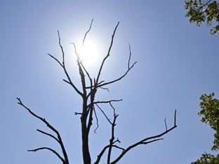 2025 war drittwärmstes Jahr seit Beginn der Aufzeichnungen