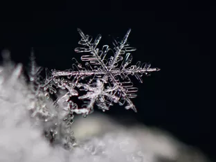 Kältepol Österreichs in Liebenau-Gugu mit minus 27,9 Grad