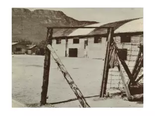 Reschenstraße Nr. 80: Fläche zum Ort des Gedenkens für die Opfer des Holocausts