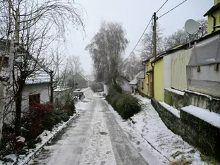 Frau im Weinviertel erdrosselt - Lebensgefährte in Haft