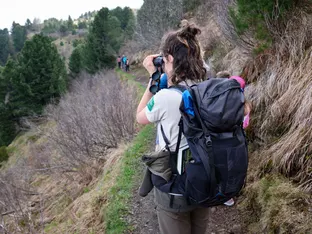 Südtiroler Naturparks bieten wieder Sommerjobs
