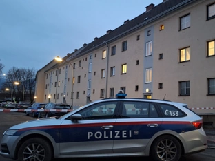 Medien: Zwölfjähriger Bub in Leoben getötet