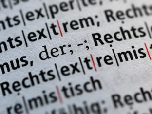 Rechtsextremismusbericht warnt vor "Neuen Rechten"