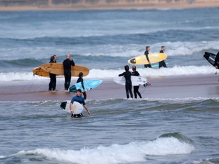 Drei Haiattacken binnen zwei Tagen in Sydney