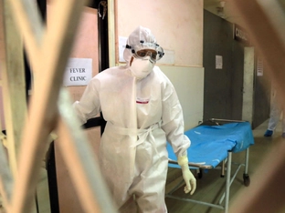 WHO sieht kaum Risiko für Ausbreitung des Nipah-Virus