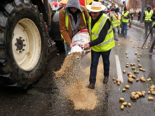 Mercosur: EU-Parlament für agrarische Schutzklauseln