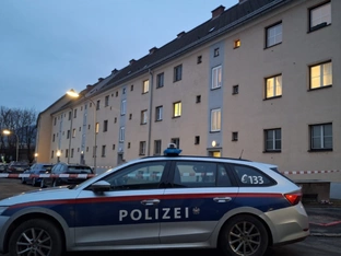 Toter Bub in Leoben - Mutter hat Tat gestanden