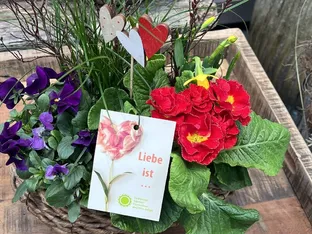 „Liebe, die Wurzeln schlägt“