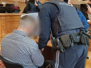 Ungar soll Ex-Freundin getötet haben: Lebenslange Haft