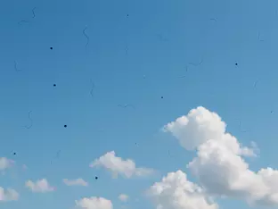 Schatten im Blick: Was steckt dahinter?