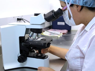 Bluttest erkennt Alzheimer früh