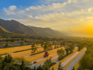 Tote bei Explosion in Fabrik in China