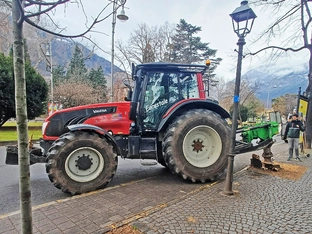 In Meran werden Wurzelstöcke gefräst