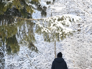 Geosphere gibt Schneewarnung für ganz Österreich
