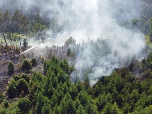EU sagt steigender Waldbrand-Gefahr den Kampf an