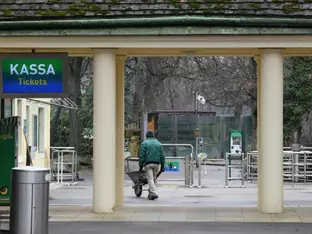 Junge Hirschziegenantilope in Wiener Zoo erschossen