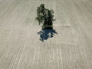 90 Prozent weniger Emissionen: EU hat neues Klimaschutzziel