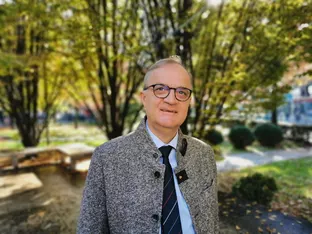 Team K bezeichnet Schlägerung vom Auwald als Willkürakt