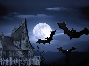 Nachts Fledermäuse? Das sagt es über euren Garten aus